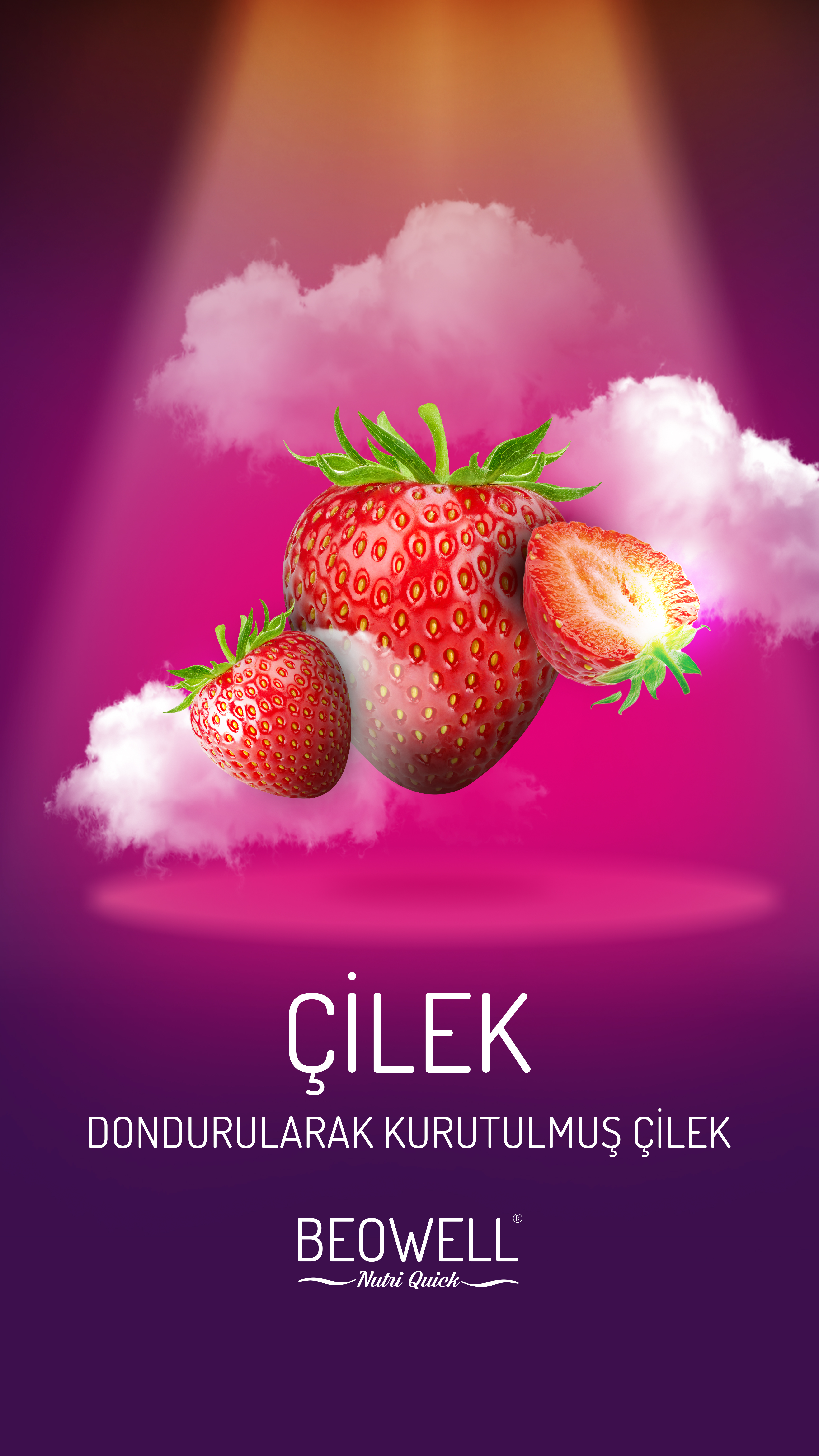 BEOWELL NUTRI QUICK ÇİLEK